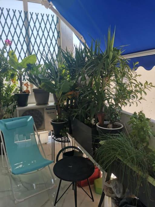 Marina Dream Apartment Toulon Bagian luar foto